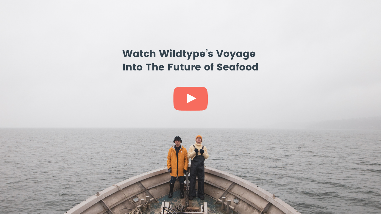Wildtype Voyage Into The Future