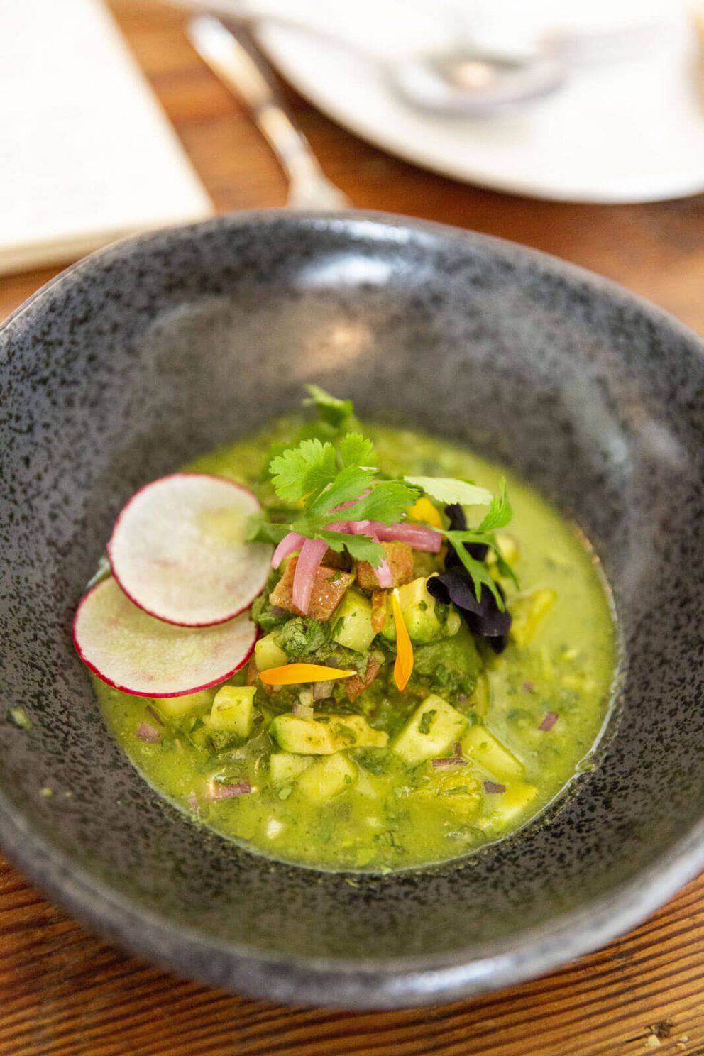 Ceviche verde with sliced radishes on top