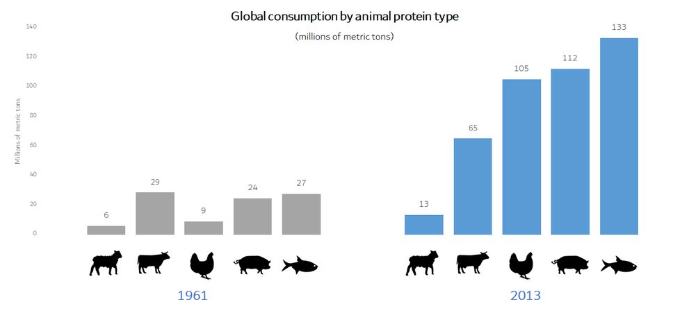 Chart showing global resource consumption by animal
