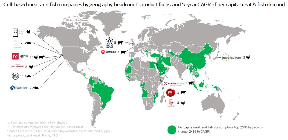 World Map showing cultivate meat companies