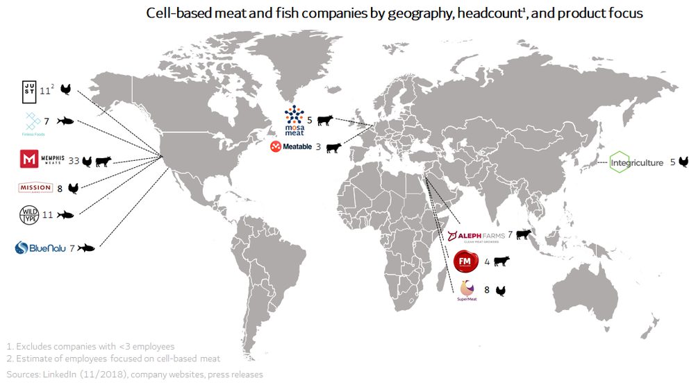 World Map showing cultivated meat companies