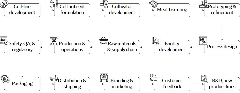 Chart showing the growth trajectory of a cultivated meat companies